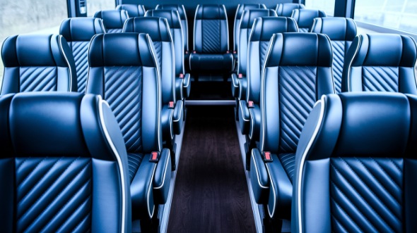 chandler 20 passenger minibus rental